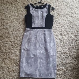 Calvin Klein classy dress